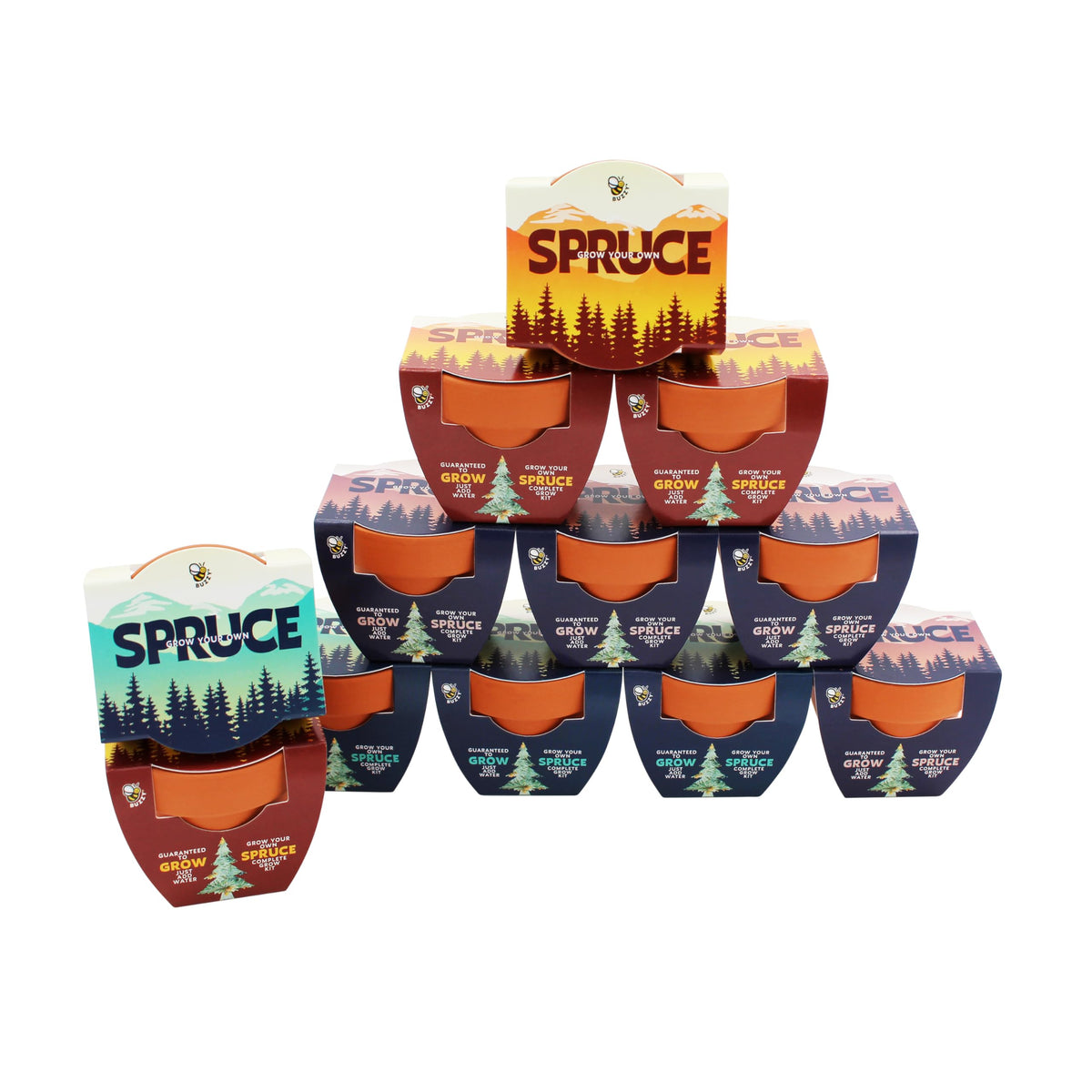 BUZZY Seeds Daydream Grow Kit 12-Pack, Terracotta Pots, Assorted Flowers