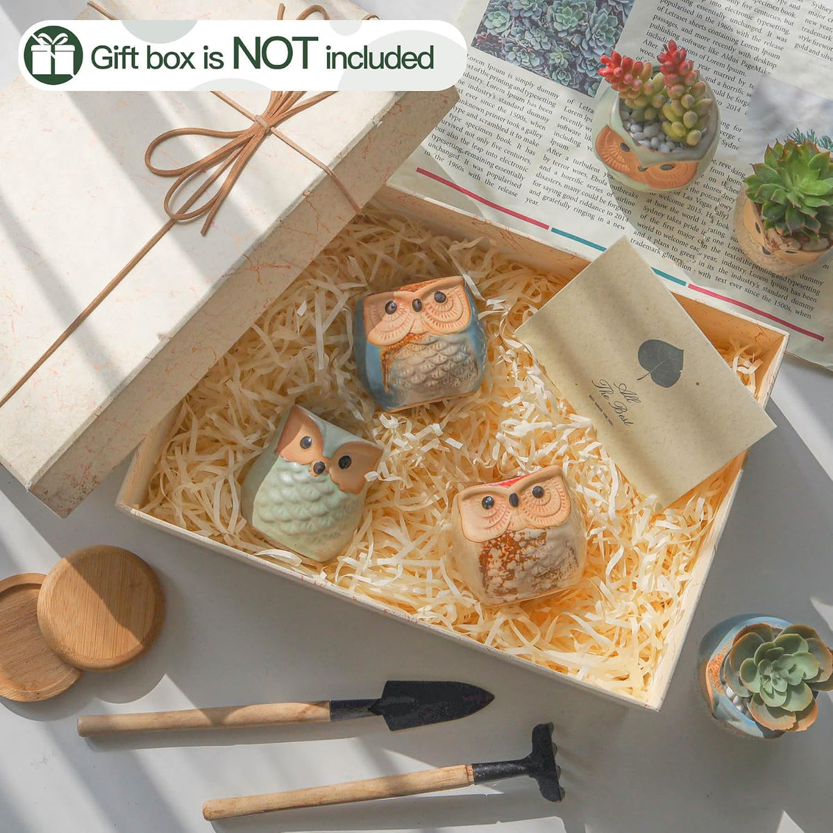 T4U Owl Succulent Pots, Mini Ceramic Gift Pots with Drainage, Retro 6 Pack