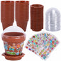 PURPLE STAR 1N 50 Packs Cupcake Plant Nursery Pots with Humidity Dome- Planting Containers Cups- Small Flower Pots with Trays & Lids for Indoor Outdoor Seedling Succulent Vegetable (Wine Red)