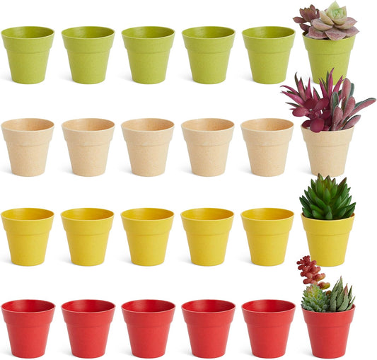 Juvale Mini Plastic Plant Pots - Drainage Hole for Flower Pots - Sturdy Planter for Indoor Plants - Pack of 24, 2.5 x 2.3 in, Multicolor