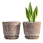 Gepege Ceramic Succulent Pots, 4 Inch Small Plant Pots with Drainage