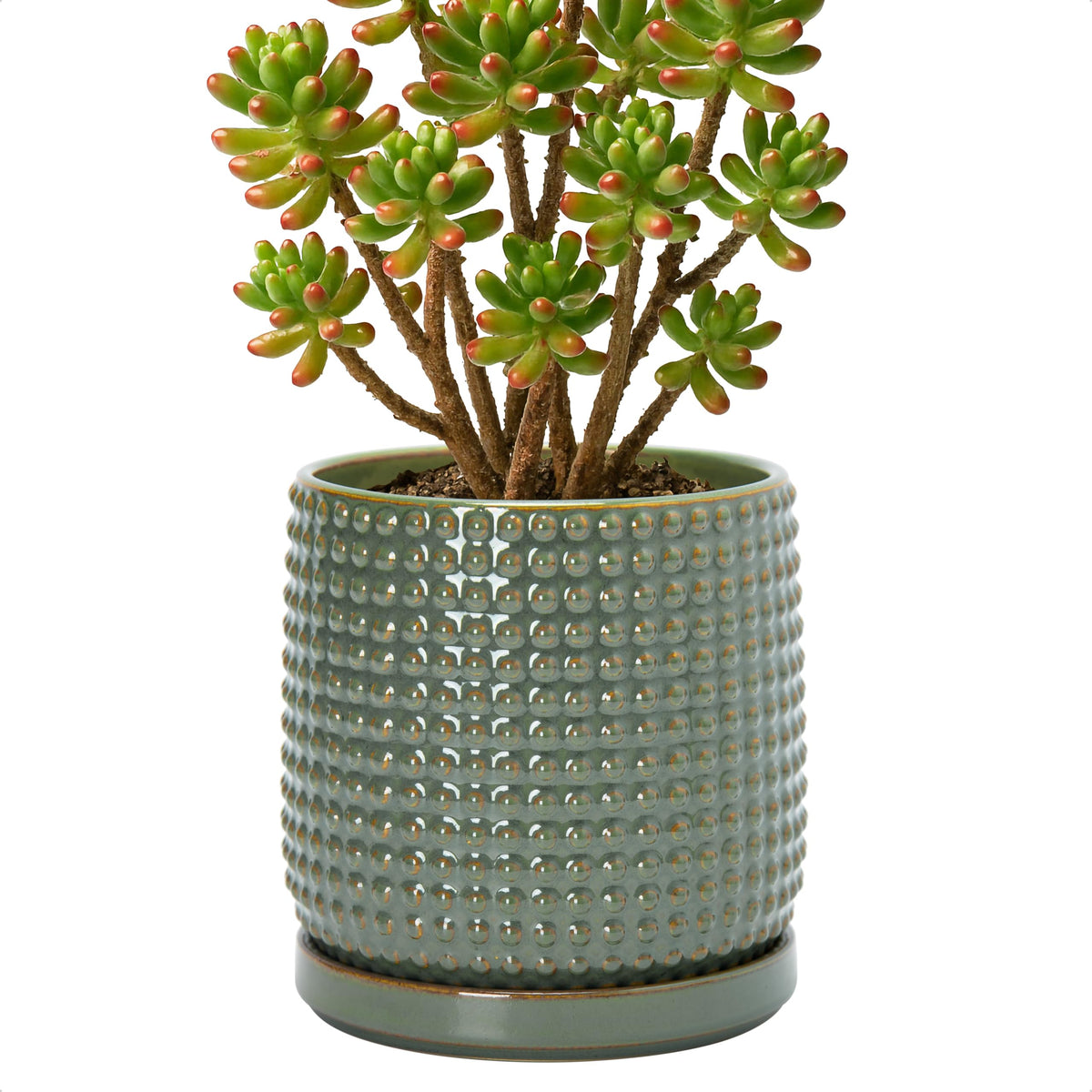 D'vine Dev Beaded Ceramic Pot with Saucer, 4 in, Midnight Blue, 27-C-Z-3