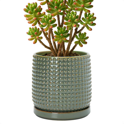 D'vine Dev Beaded Ceramic Pot with Saucer, 4 in, Midnight Blue, 27-C-Z-3