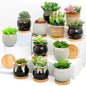 Remerry 24 Pcs Ceramic Succulent Pots 2.5 Inch with Drainage Bamboo Tray