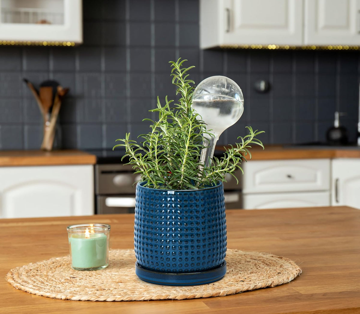 D'vine Dev Beaded Ceramic Pot with Saucer, 4 in, Midnight Blue, 27-C-Z-3