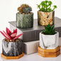 Ziliny Marbling Ceramic Flower Pot 3.35 Inch Succulent Small Plant Cactus Herbs Planter Ceramic Pot with Drainage Hole Matte Round Container(6 Pcs,Elegance Style)
