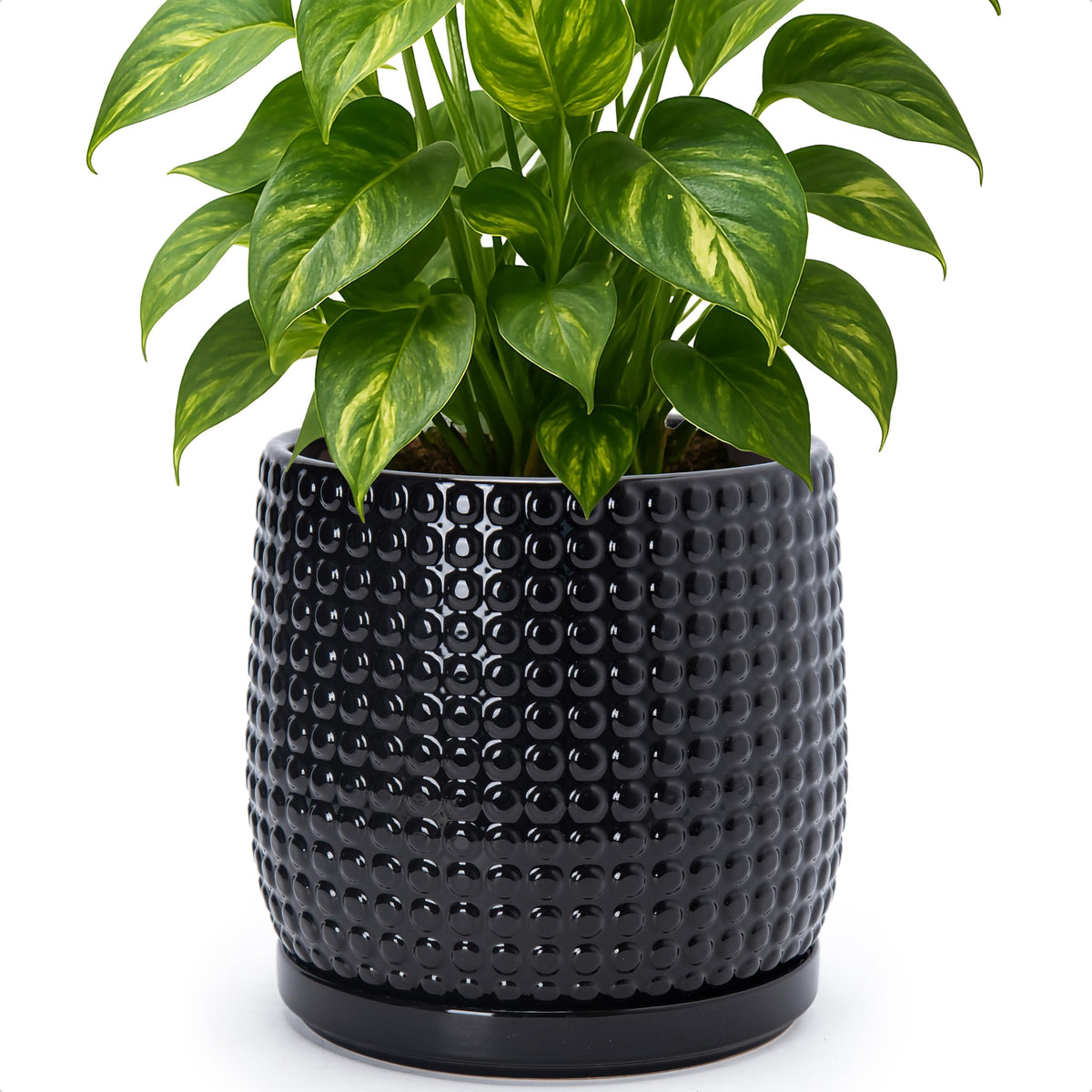 D'vine Dev Beaded Ceramic Pot with Saucer, 4 in, Midnight Blue, 27-C-Z-3