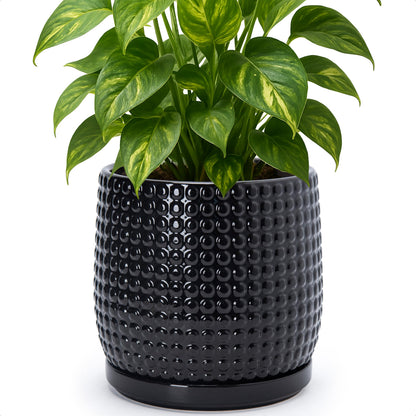 D'vine Dev Beaded Ceramic Pot with Saucer, 4 in, Midnight Blue, 27-C-Z-3