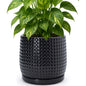 D'vine Dev Beaded Ceramic Pot with Saucer, 4 in, Midnight Blue, 27-C-Z-3