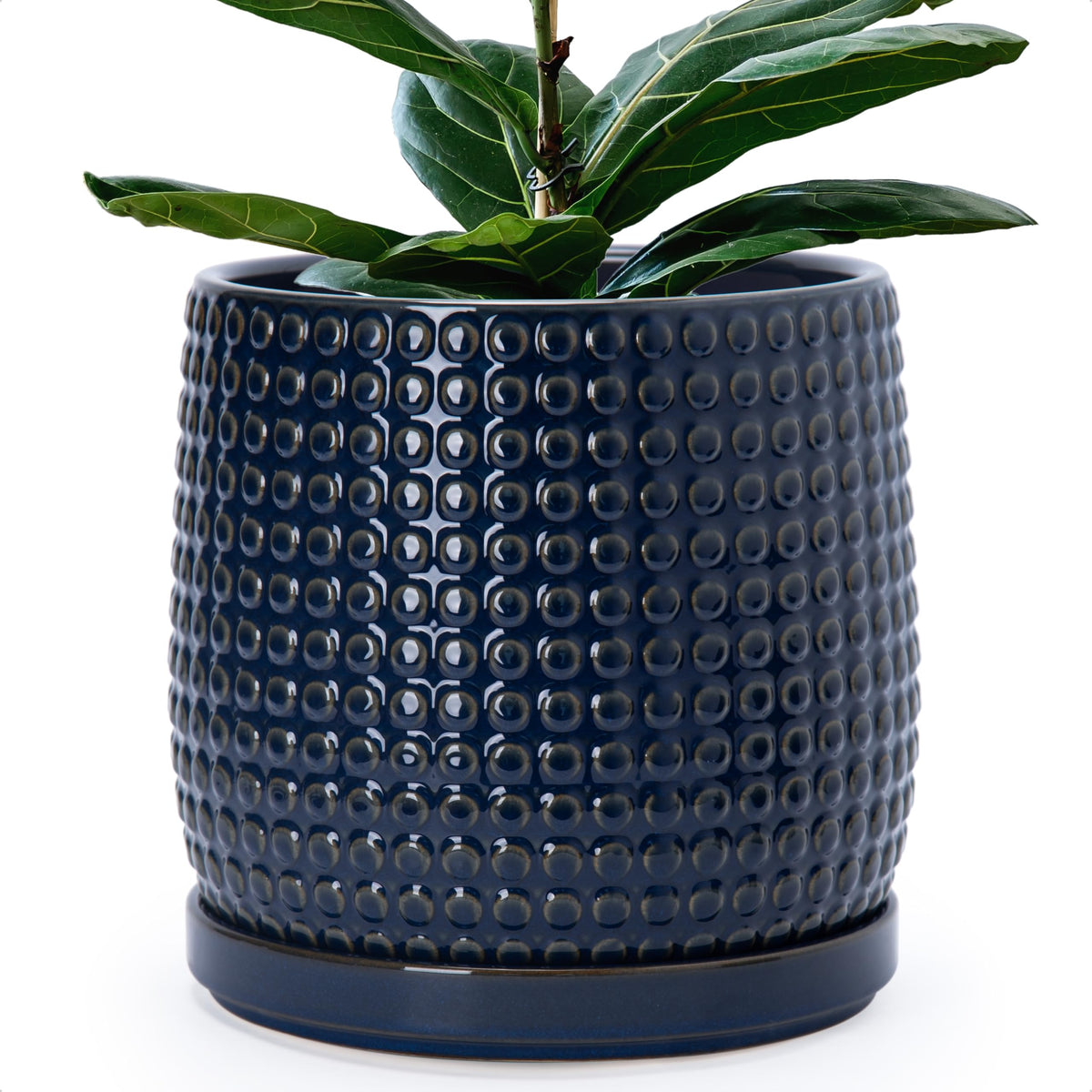 D'vine Dev Beaded Ceramic Pot with Saucer, 4 in, Midnight Blue, 27-C-Z-3