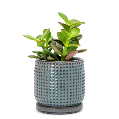 D'vine Dev Beaded Ceramic Pot with Saucer, 4 in, Midnight Blue, 27-C-Z-3