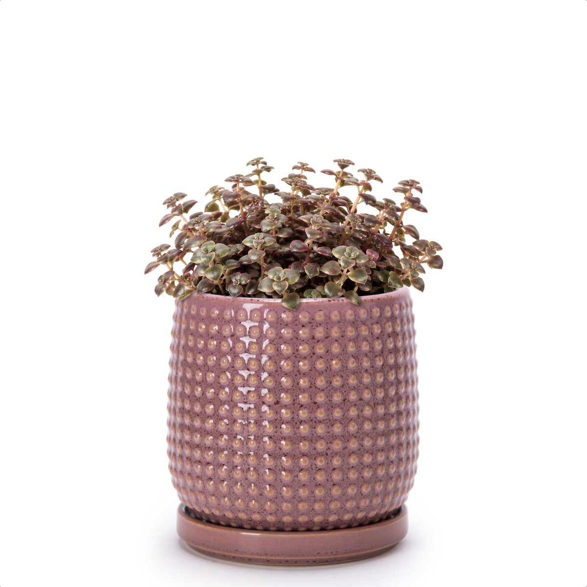 D'vine Dev Beaded Ceramic Pot with Saucer, 4 in, Midnight Blue, 27-C-Z-3