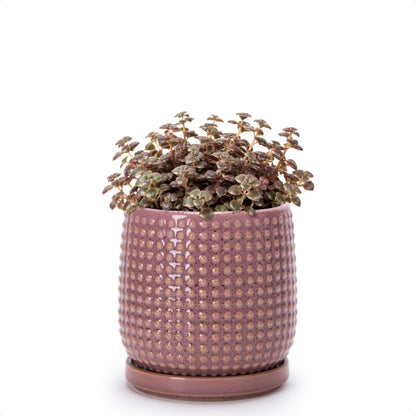 D'vine Dev Beaded Ceramic Pot with Saucer, 4 in, Midnight Blue, 27-C-Z-3
