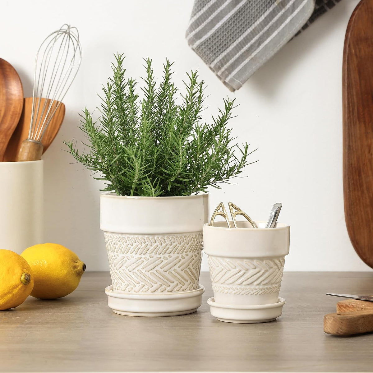 Fayoula Succulent pots,Indoor Small Succulent Bonsai,3 Inch Mini Ceramic Succulent Pots with Saucer and Drainage Hole, Decorative Planter for Succulent, Cactus, Set of 4.