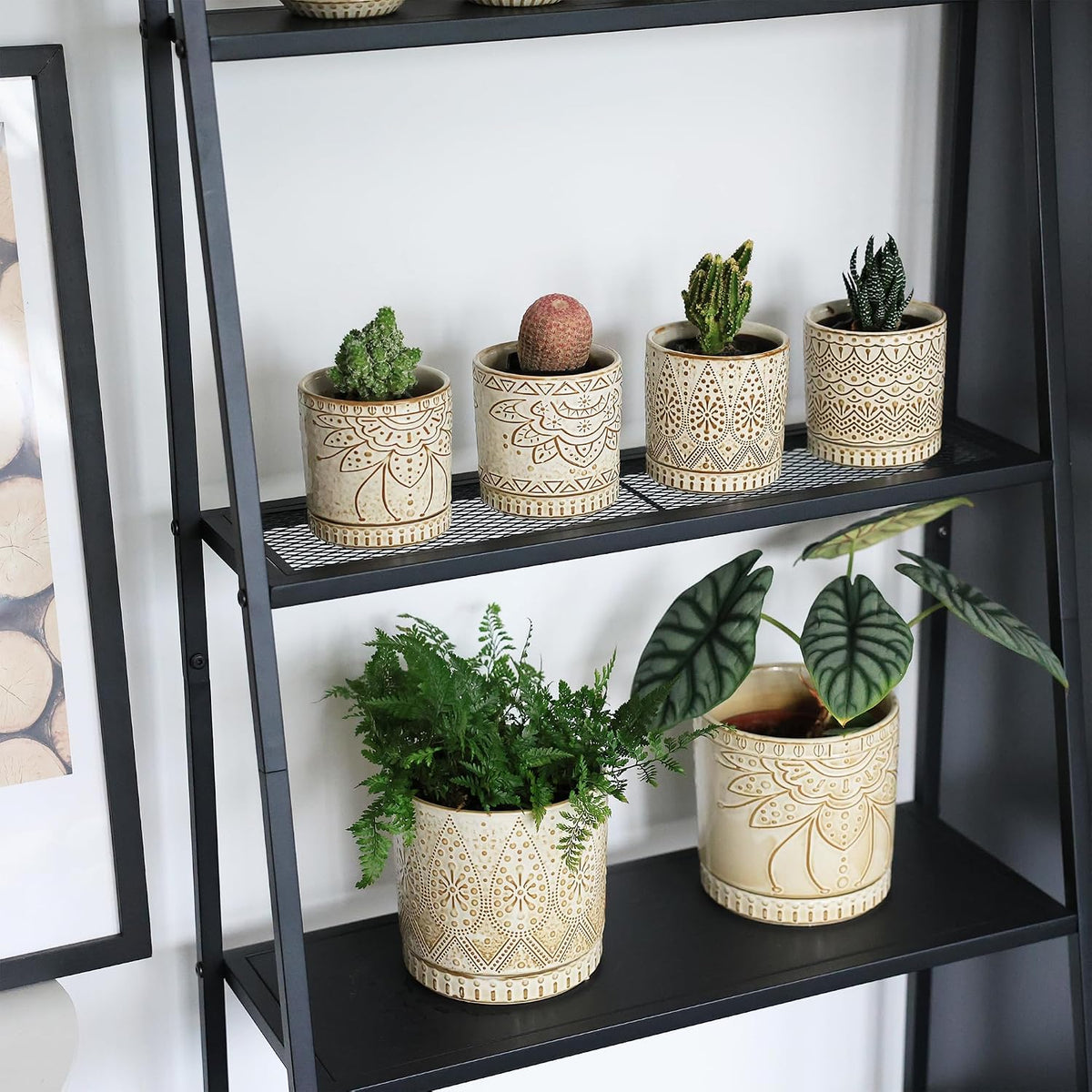 Gepege Ceramic Succulent Pots, 4 Inch Small Plant Pots with Drainage