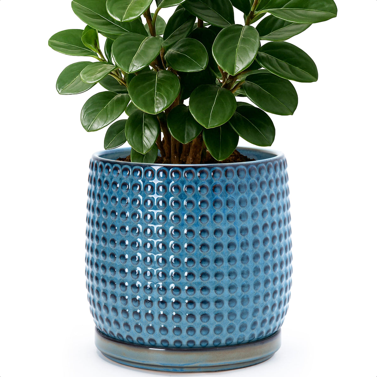 D'vine Dev Beaded Ceramic Pot with Saucer, 4 in, Midnight Blue, 27-C-Z-3