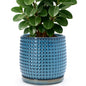 D'vine Dev Beaded Ceramic Pot with Saucer, 4 in, Midnight Blue, 27-C-Z-3