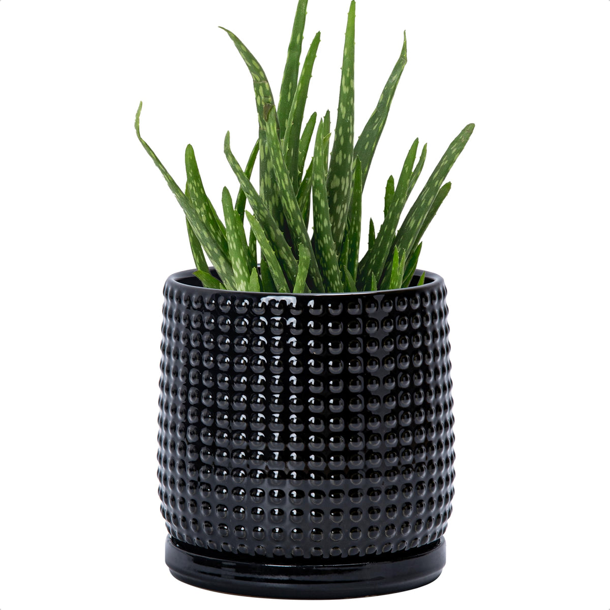 D'vine Dev Beaded Ceramic Pot with Saucer, 4 in, Midnight Blue, 27-C-Z-3