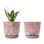 Gepege Ceramic Succulent Pots, 4 Inch Small Plant Pots with Drainage