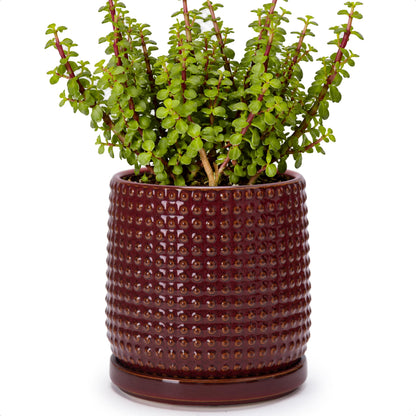 D'vine Dev Beaded Ceramic Pot with Saucer, 4 in, Midnight Blue, 27-C-Z-3