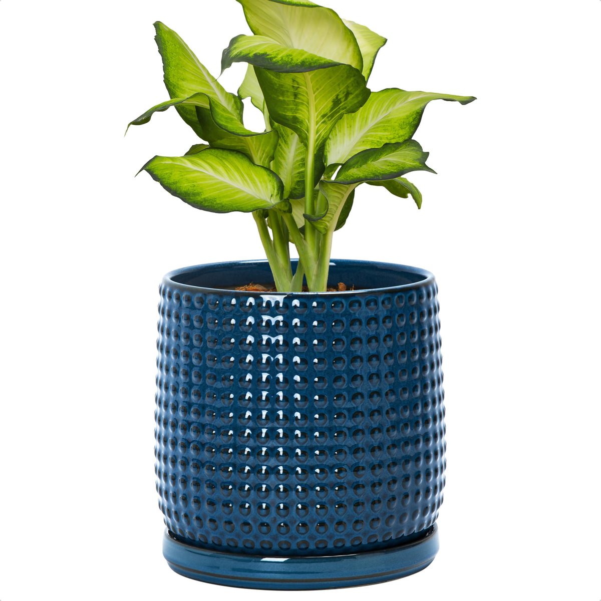 D'vine Dev Beaded Ceramic Pot with Saucer, 4 in, Midnight Blue, 27-C-Z-3