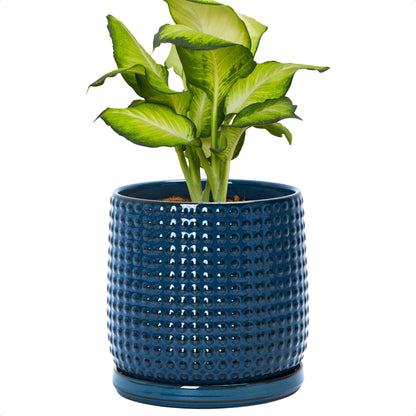 D'vine Dev Beaded Ceramic Pot with Saucer, 4 in, Midnight Blue, 27-C-Z-3