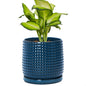 D'vine Dev Beaded Ceramic Pot with Saucer, 4 in, Midnight Blue, 27-C-Z-3