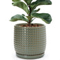 D'vine Dev Beaded Ceramic Pot with Saucer, 4 in, Midnight Blue, 27-C-Z-3
