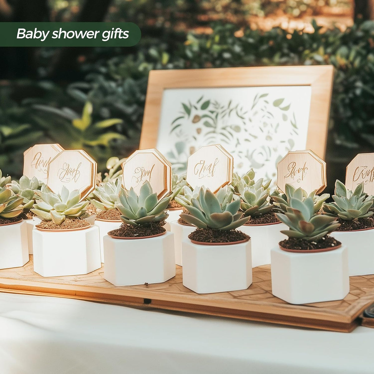 T4U Small Succulent Pots 12 Pack, Mini Flower Planters with Drainage White
