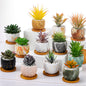 Ziliny Marbling Ceramic Flower Pot 3.35 Inch Succulent Small Plant Cactus Herbs Planter Ceramic Pot with Drainage Hole Matte Round Container(6 Pcs,Elegance Style)