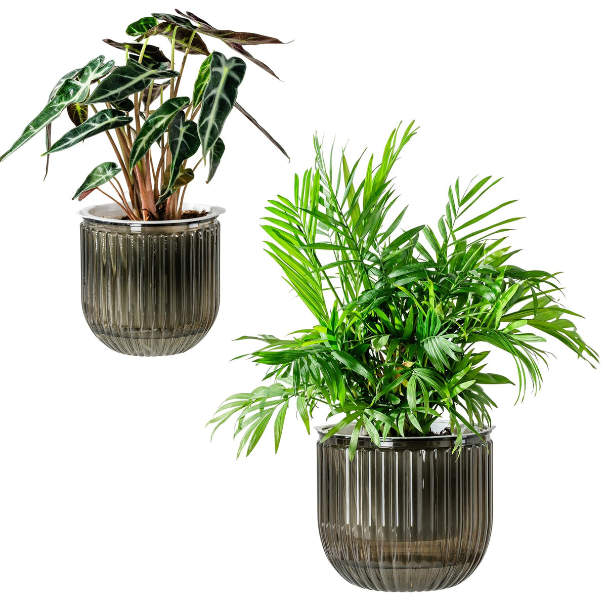 Melphoe Self Watering Pots for Indoor Plants Planter, 4.3 Inch 2 Pack Planters Self Watering Plant Pots for Flower, Houseplants, Succulent, African Violets and Cactus with Drainage