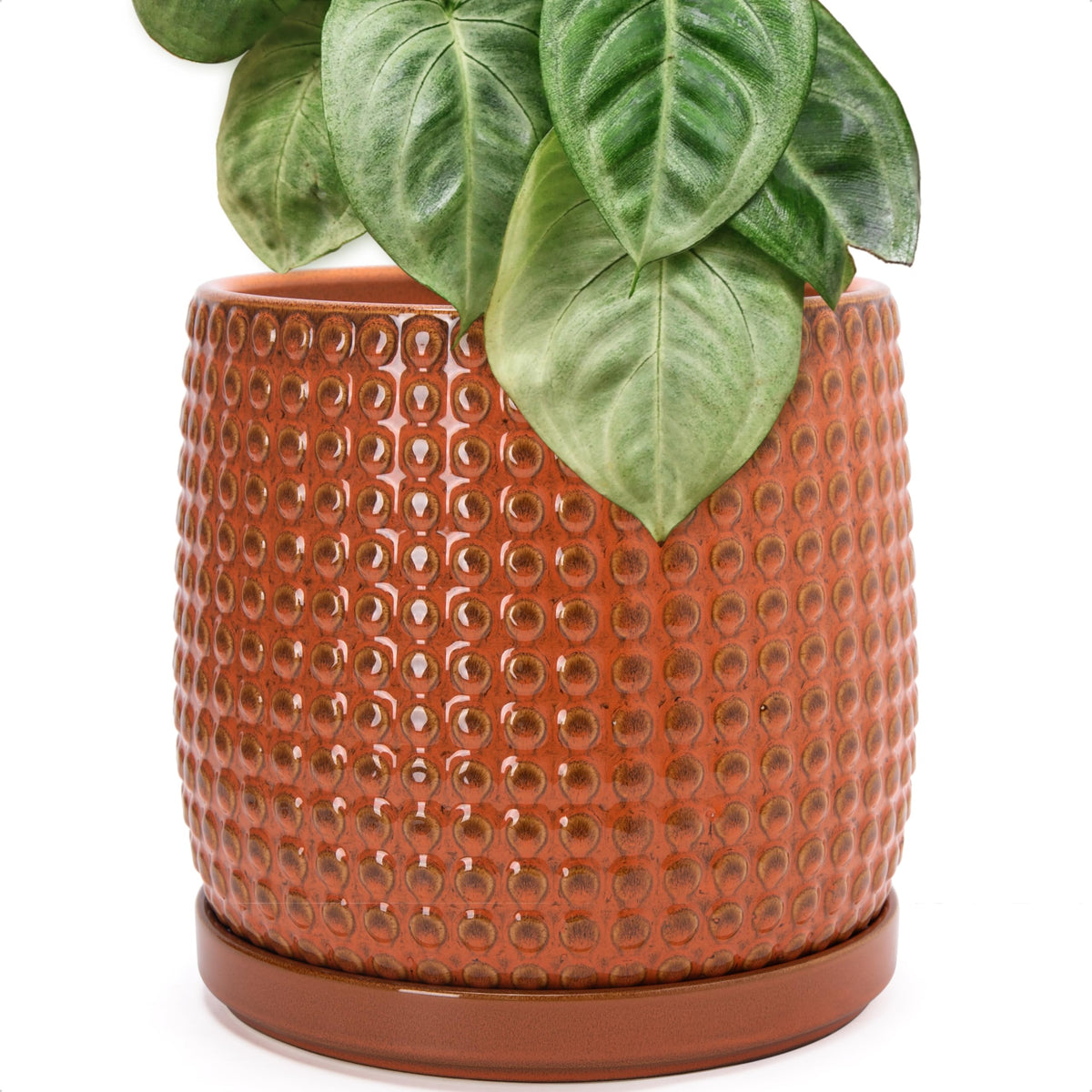 D'vine Dev Beaded Ceramic Pot with Saucer, 4 in, Midnight Blue, 27-C-Z-3