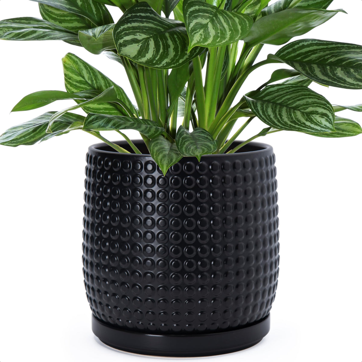 D'vine Dev Beaded Ceramic Pot with Saucer, 4 in, Midnight Blue, 27-C-Z-3