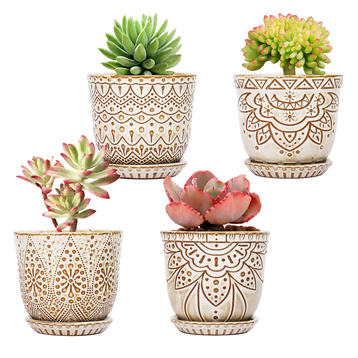 Gepege Ceramic Succulent Pots, 4 Inch Small Plant Pots with Drainage