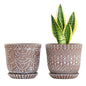Gepege Ceramic Succulent Pots, 4 Inch Small Plant Pots with Drainage