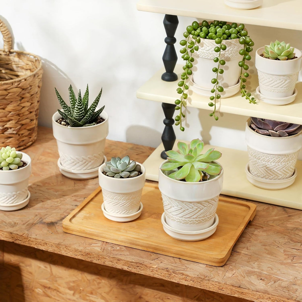 Fayoula Succulent pots,Indoor Small Succulent Bonsai,3 Inch Mini Ceramic Succulent Pots with Saucer and Drainage Hole, Decorative Planter for Succulent, Cactus, Set of 4.