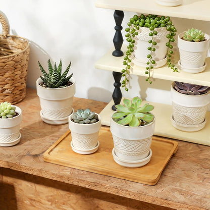 Fayoula Succulent pots,Indoor Small Succulent Bonsai,3 Inch Mini Ceramic Succulent Pots with Saucer and Drainage Hole, Decorative Planter for Succulent, Cactus, Set of 4.
