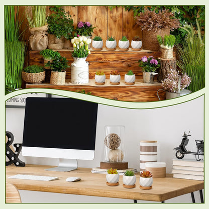 Gerrii 24 Pcs Succulent Pots Mini White Ceramic Flower Planter Pot Succulent Planters with Wooden Trays and Drainage Holes for Plants Cactus Home Office Decoration, Plants Not Included(Diamond)