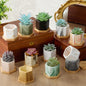 Ziliny Marbling Ceramic Flower Pot 3.35 Inch Succulent Small Plant Cactus Herbs Planter Ceramic Pot with Drainage Hole Matte Round Container(6 Pcs,Elegance Style)