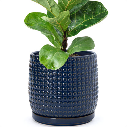 D'vine Dev Beaded Ceramic Pot with Saucer, 4 in, Midnight Blue, 27-C-Z-3