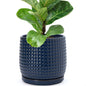 D'vine Dev Beaded Ceramic Pot with Saucer, 4 in, Midnight Blue, 27-C-Z-3