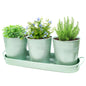 Small Pots for Plants, 3-Pack 4.7 Inch White Metal Herb Pots, Mini Windowsill Planter for Succulent, Cactus, Basil, Mint, Rosemary
