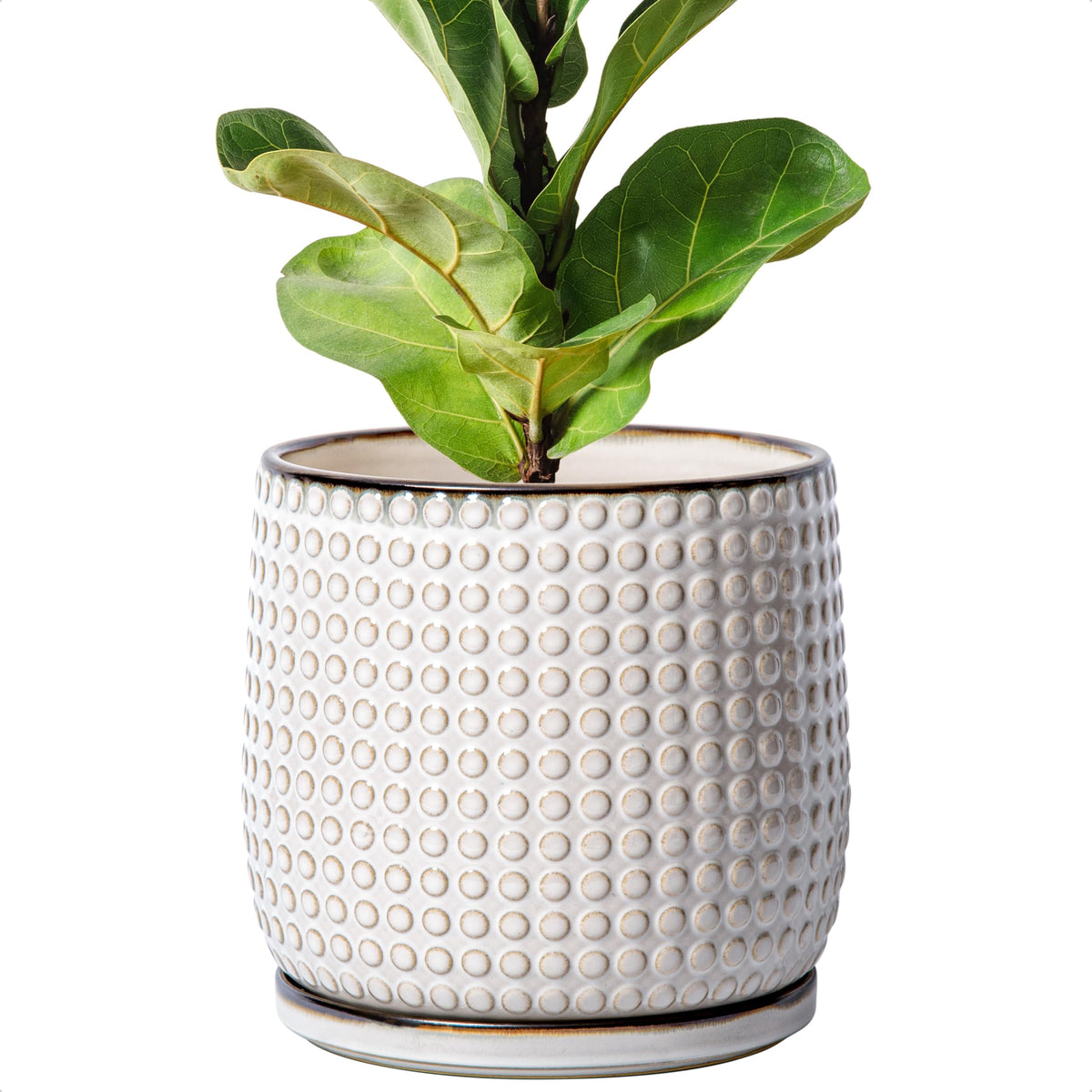 D'vine Dev Beaded Ceramic Pot with Saucer, 4 in, Midnight Blue, 27-C-Z-3