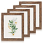 Hongkee 8x10 Picture Frame Set of 4, Real Glass and Wood Frame, 5x7 Mat