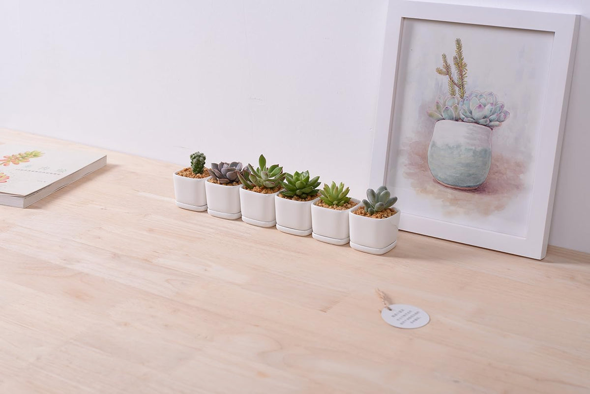 SeaStar Ceramic Succulent Mini Planter Pot,Mini 6 Set 2x1.65x2inch Square Modern Minimalist White/Window Box with Saucer for Office,Desk,House Balcony Landscape
