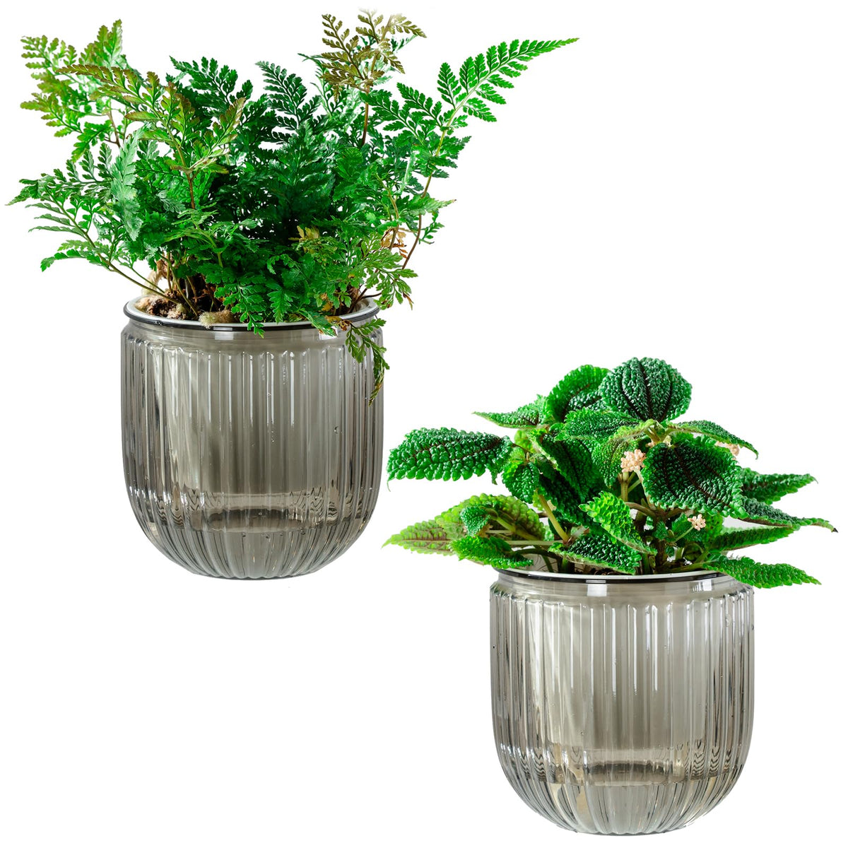 Melphoe Self Watering Pots for Indoor Plants Planter, 4.3 Inch 2 Pack Planters Self Watering Plant Pots for Flower, Houseplants, Succulent, African Violets and Cactus with Drainage
