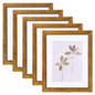 Fixwal 5x7 Picture Frame Set of 5 with Tempered Glass, Multicolor
