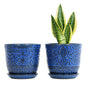 Gepege Ceramic Succulent Pots, 4 Inch Small Plant Pots with Drainage