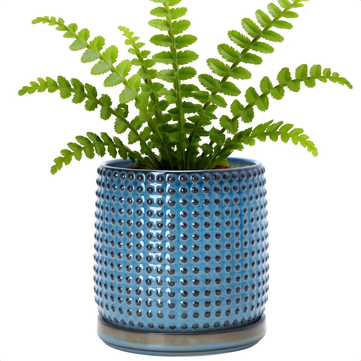 D'vine Dev Beaded Ceramic Pot with Saucer, 4 in, Midnight Blue, 27-C-Z-3