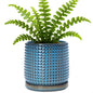 D'vine Dev Beaded Ceramic Pot with Saucer, 4 in, Midnight Blue, 27-C-Z-3